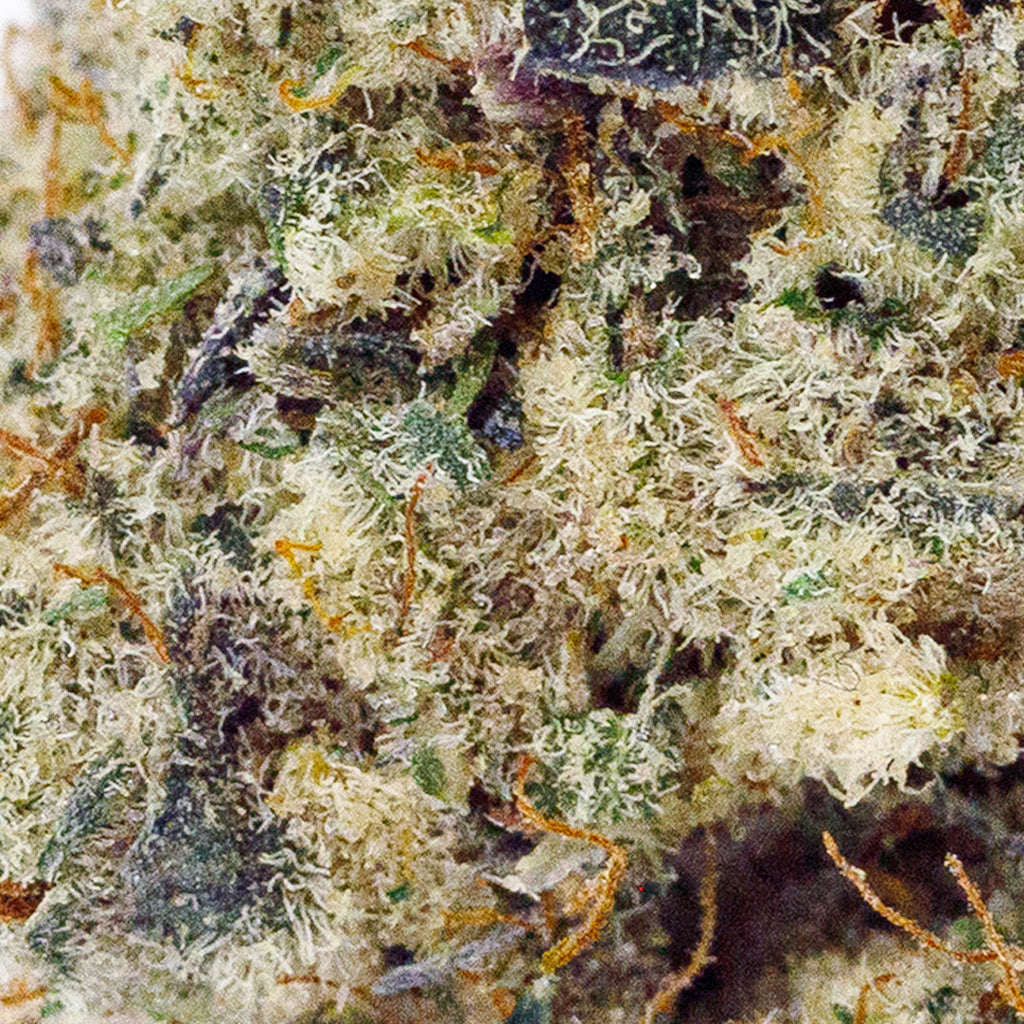 Cap Junky
