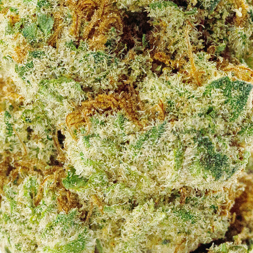 Venom OG
