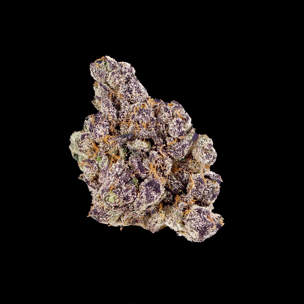 Acaiberry Gelato