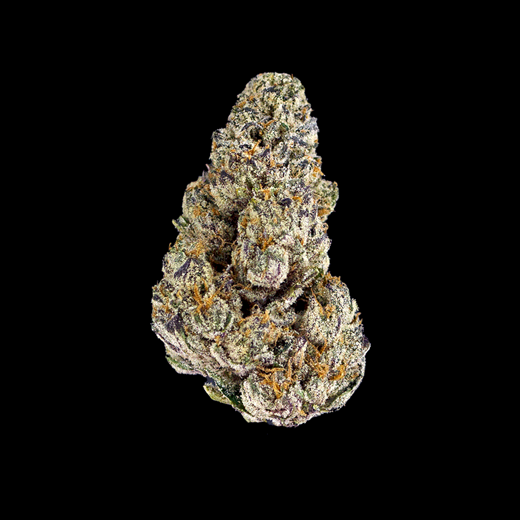 Black Ice