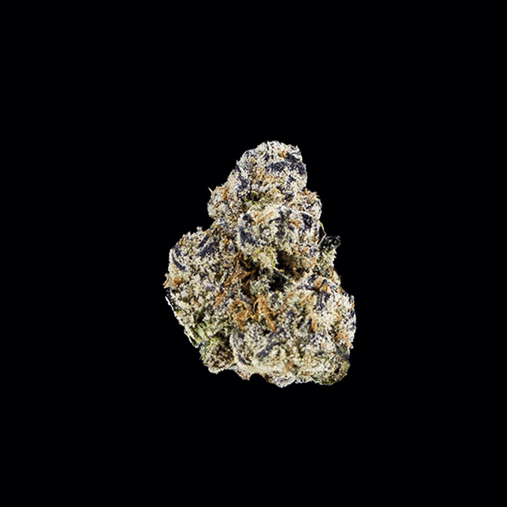 Black Truffle