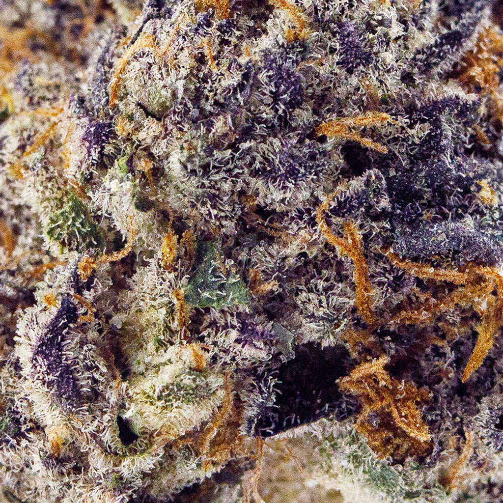 Blue Dream