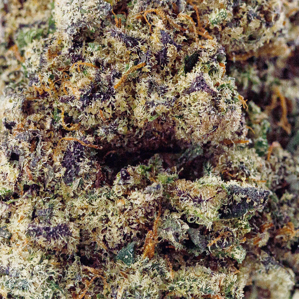 Pink Lemonade