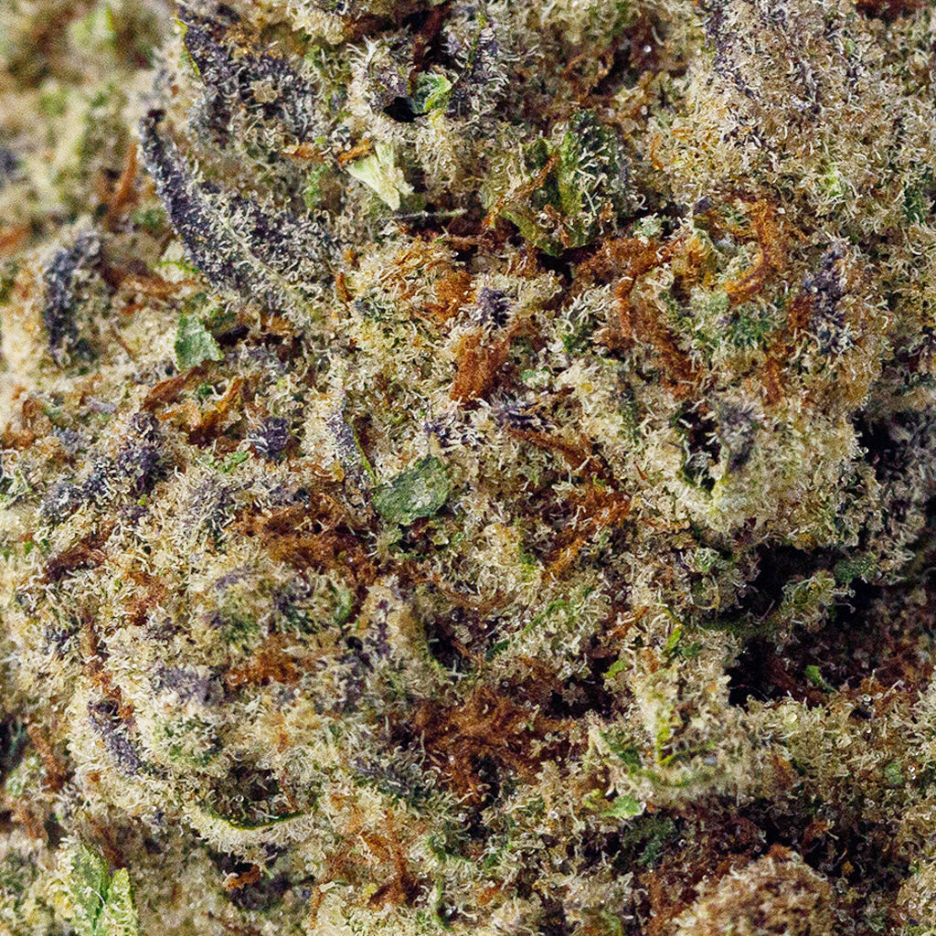 Purple Voodoo