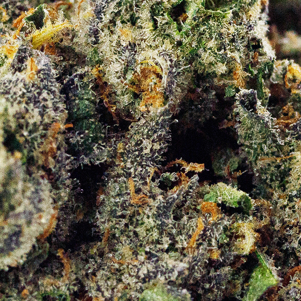 Strawberry Shortcake